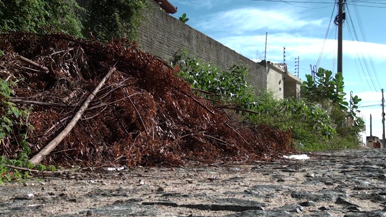 Moradores denunciam demora do recolhimento de podas