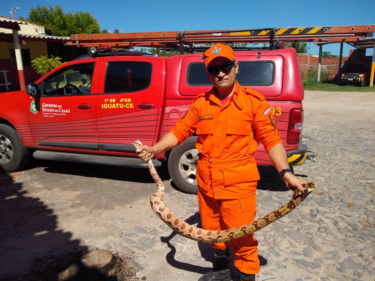 Cobras são encontradas em residências de Iguatu