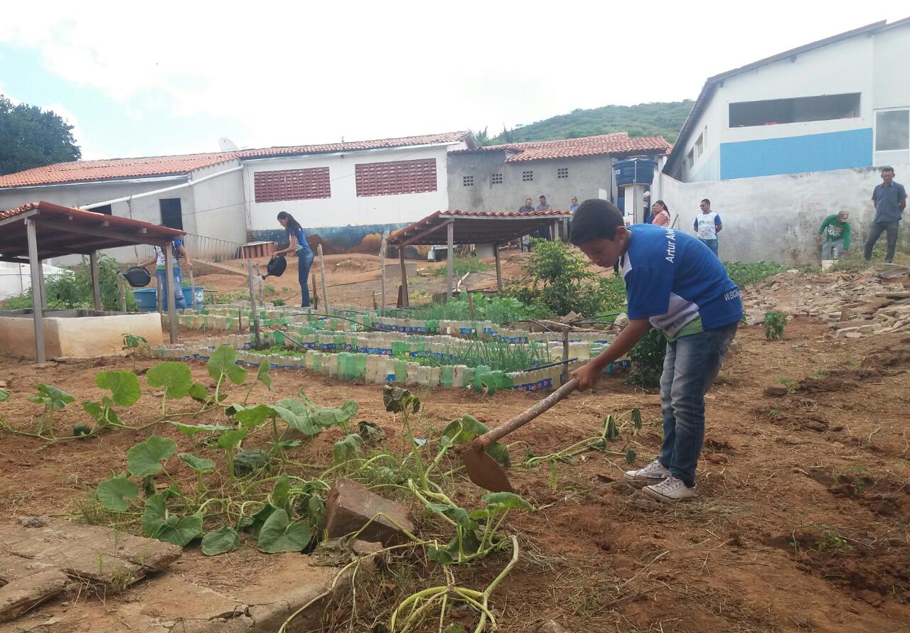 Projetos de produção de alimentos mudam realidade de escolas