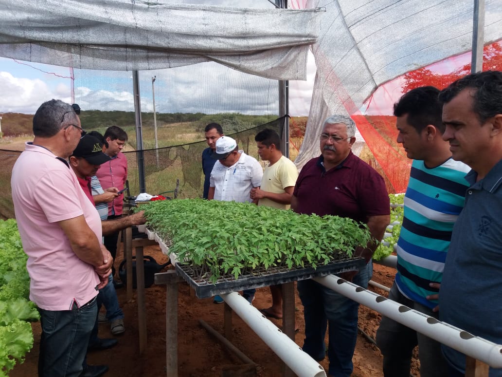 Comitiva da SEAP visita cultivo hidropônico de alface