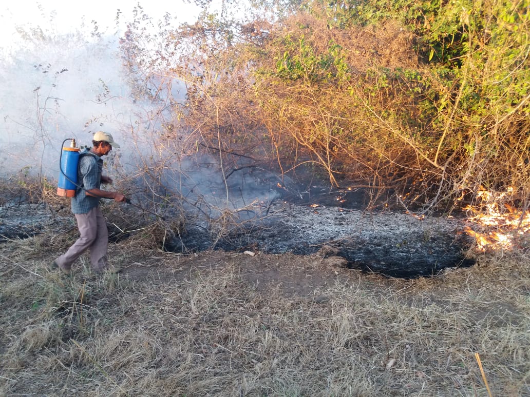 Incêndios destroem áreas de vegetação nativa e pasto