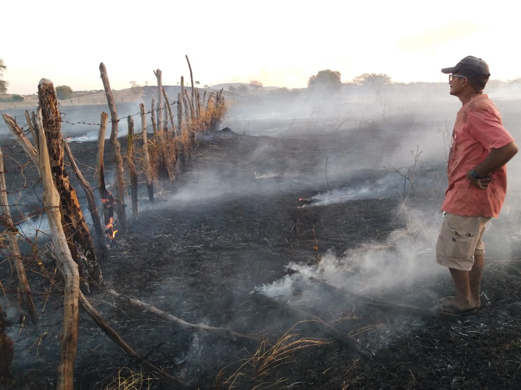 Incêndio atinge mais de 10 km de áreas de vegetação e pasto