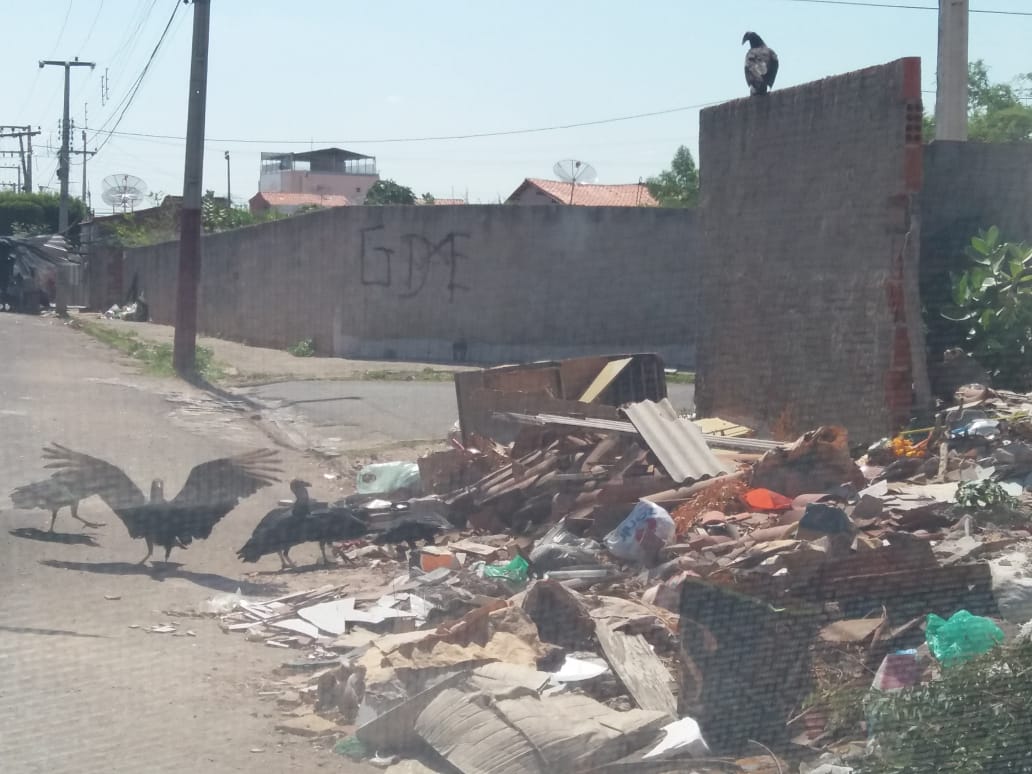 Moradores reclamam de pontos de lixo e entulho na rua