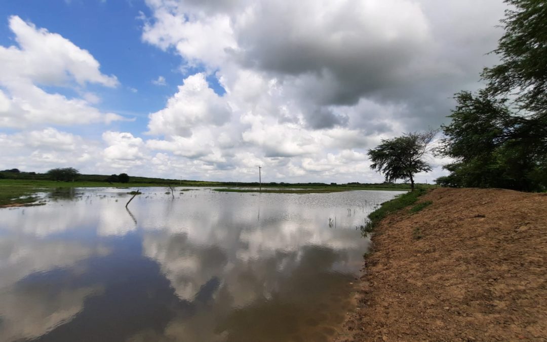 Funceme aponta probabilidade de 40% de chuvas acima da média histórica este ano