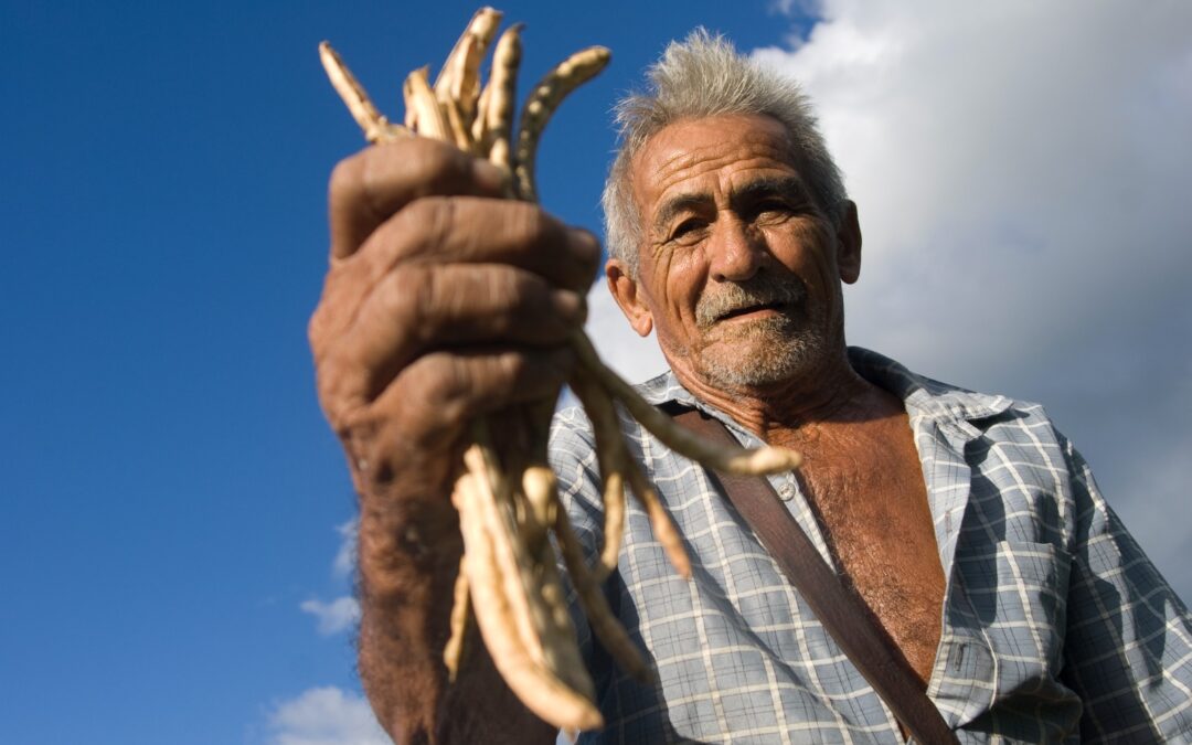 Agricultores familiares do Ceará devem realizar inscrições no Garantia Safra 2023/2024 até o fim do ano