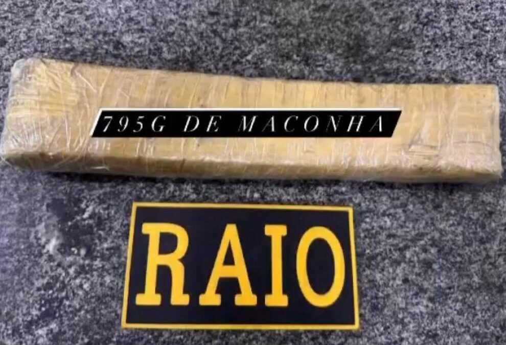 Polícia apreende quase 1kg de maconha escondida em árvore