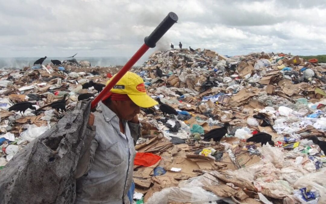 Mulheres sustentam suas famílias com coleta de materiais recicláveis