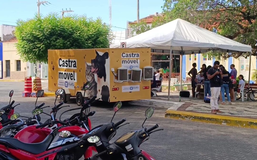 Secretaria oferece serviços gratuitos para cuidados com animais