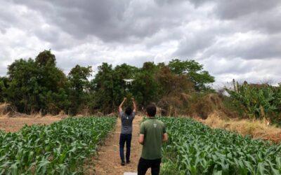 Projeto usa drones para otimizar uso da água na irrigação do milho