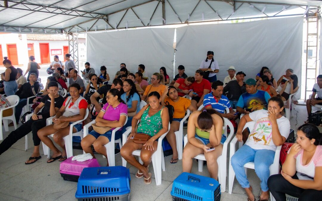 Pet Ceará Móvel presta serviços de castração gratuita em Iguatu