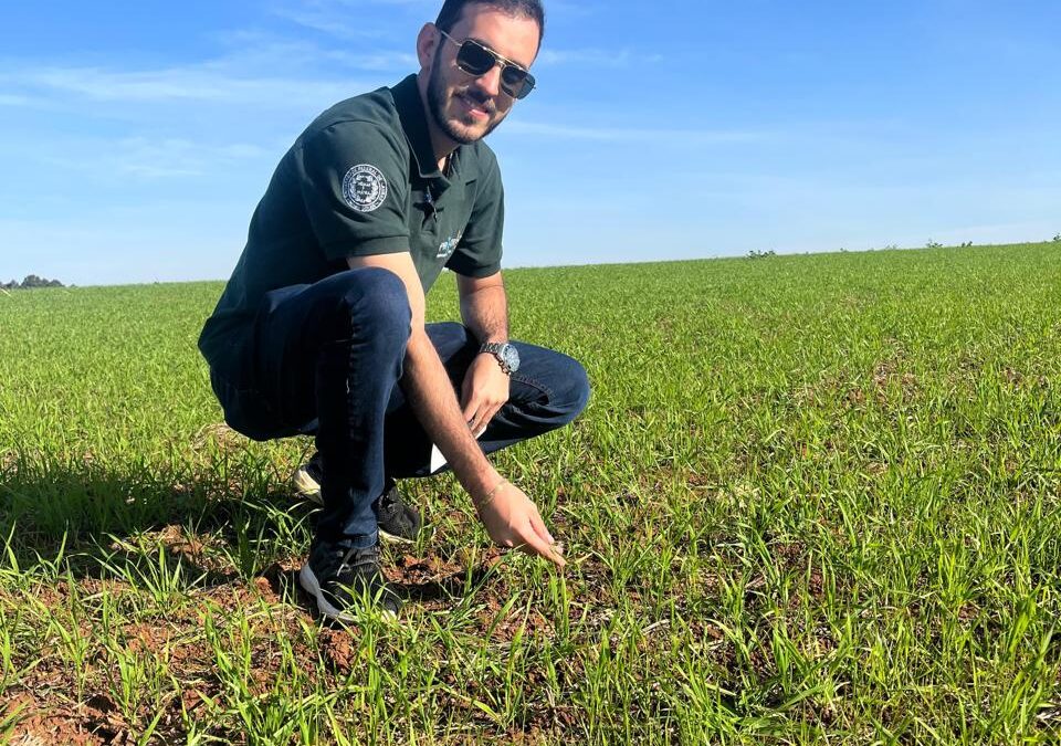 Experimento desenvolvido no IFCE em Iguatu em parceria com a UFLA ganha prêmio no Fórum Nacional no Rio Grande do Sul