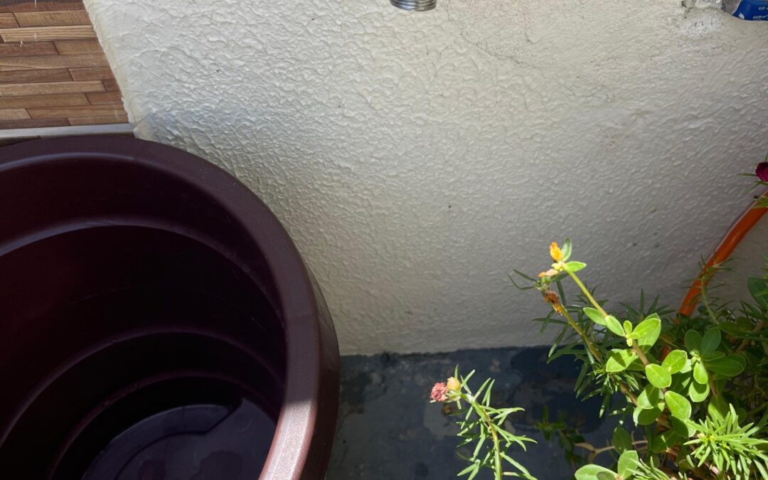 Moradores do Nova Cajazeiras denunciam falta d’água