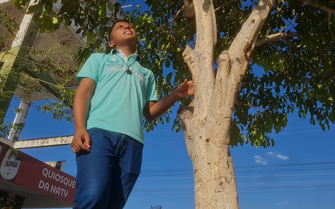 As mudas de árvores nativas e frutíferas foram plantadas há quatro anos na praça do João Paulo II