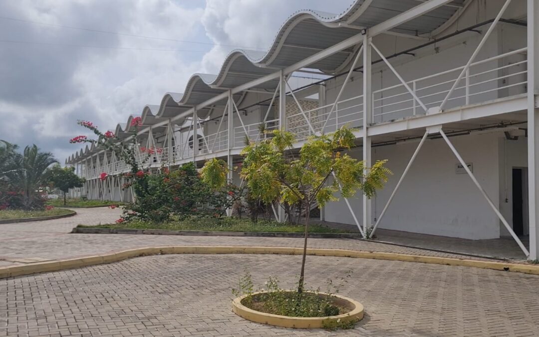 XIII Semana de Letras da FECLI está com inscrições abertas