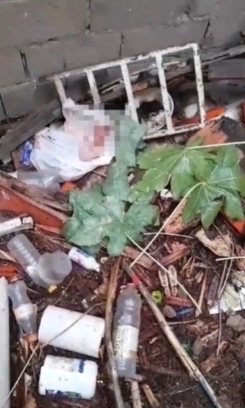 Recém-nascido abandonado no lixo é resgatado e ganha nome de Moisés