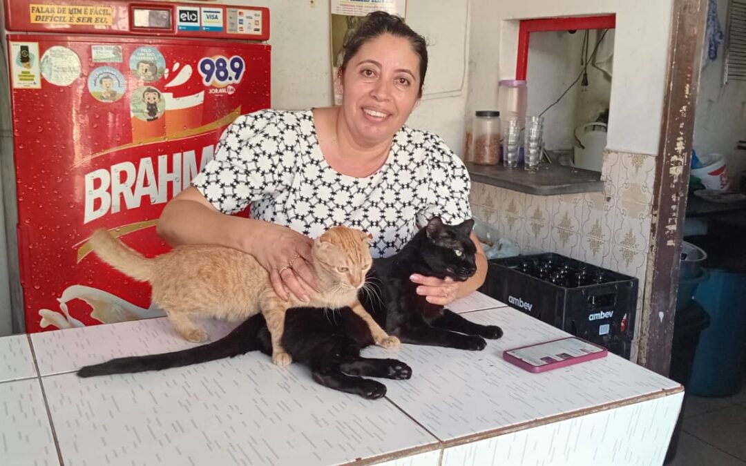 Voluntários mobilizam redes sociais para cuidar de animais abandonados