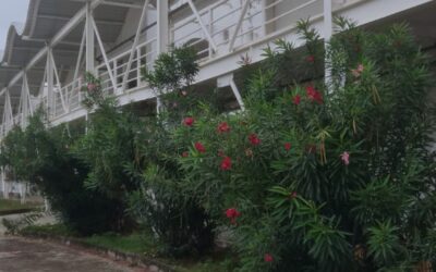 Prorrogadas as inscrições para o I Colóquio Patativa do Assaré