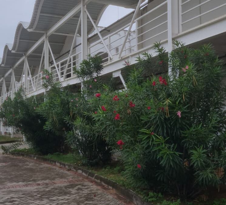 Prorrogadas as inscrições para o I Colóquio Patativa do Assaré