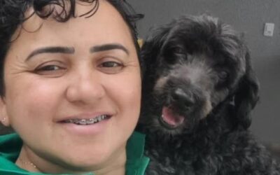 Mulher morre em colisão entre moto e animal