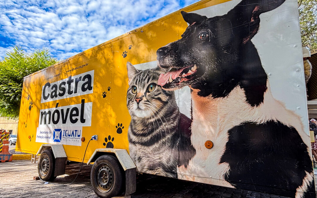 Secretaria de Proteção Animal realiza Semana de castração PET