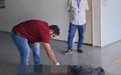 Defensoria pede investigação sobre morte de cães com suspeita de envenenamento em Iguatu
