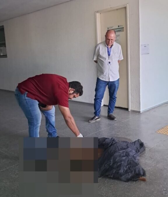 Defensoria pede investigação sobre morte de cães com suspeita de envenenamento em Iguatu