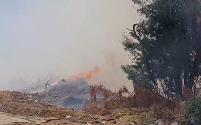 ONG Mães de Pets e Corpo de Bombeiros Militar alertam para risco de incêndios